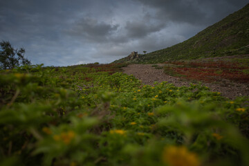 clouds and the mountains