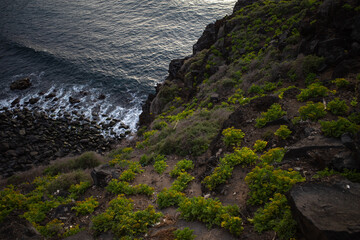 cliffs of the tenerife at sunset