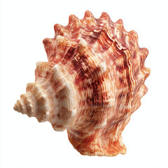 Obraz premium Stunning Spiral Seashell, A Detailed View of Nature's Art , isolated on white background png
