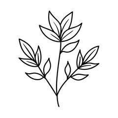 Botanical Watercolor Pattern Design