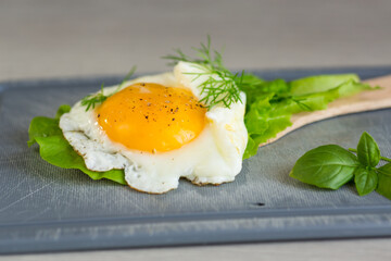 Close-up of a delicious egg with lettuce leaves in the kitchen