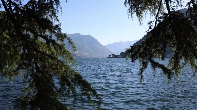 Lake Como framed view pine branches water ripples distant villas scenic mountains Italian nature peaceful escape romantic hidden spot tranquil mood cinematic travel vibe