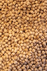 Natural organic hazelnut nuts background for design