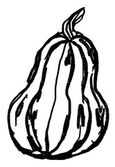 Doodle elements of fruit and vegetable, specifically a 