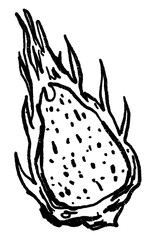 Doodle elements of fruit and vegetable, specifically a Dragon fruit