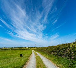 walking from Four mile Bridge Anglesey