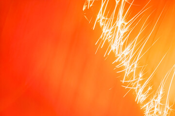 Sparklers on a orange background. Bright fire sparks on a orange background. 