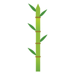 Isolated green bamboo stalk vector illustration natural plant oriental symbol