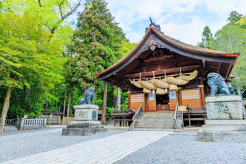 Obraz premium 初夏の諏訪大社 下社 秋宮 長野県諏訪郡 Suwa Taisha Shrine in early summer. Shimosha. Akimiya. Nagano Pref, Suwa District.