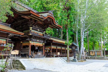 初夏の諏訪大社 下社 秋宮　長野県諏訪郡　Suwa Taisha Shrine in early summer....