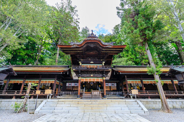 Fototapeta premium 初夏の諏訪大社 下社 秋宮 長野県諏訪郡 Suwa Taisha Shrine in early summer. Shimosha. Akimiya. Nagano Pref, Suwa District.