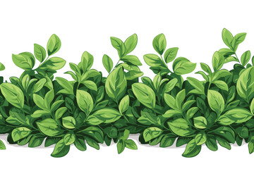 Fototapeta premium Beautiful green leaves on white background.