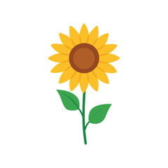 Minimalist sunflower illustration with green leaves on white background for graphic design