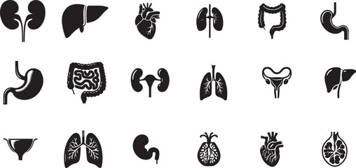 Human body organ vector icons illustrating heart, lungs, liver, stomach, intestines, kidneys, and bladder for educational purposes vector illustration