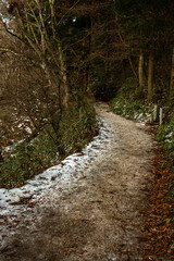 奈良県御所市高天の金剛山登山道に残る冬の凍結残雪風景―森林に囲まれた雪道の美しさを表現し、安全注意やアウトドアハイキングシーンを想起させる
