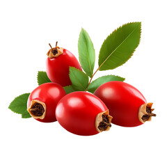 Fresh Rosehips with Leaves isolated on transparent background