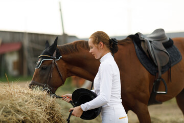 Woman rider jockey feeds horse at stable