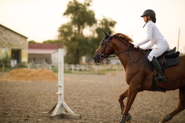 Dressage horse and rider in uniform during equestrian jumping competition
