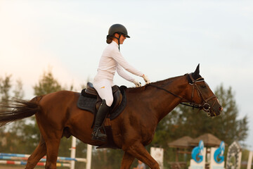 Dressage horse and rider in uniform during equestrian jumping competition