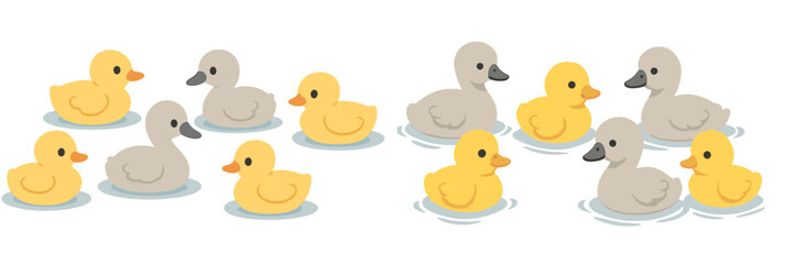 Colorful ducks swim in a pond on a sunny day showcasing their playful interactions and different hues