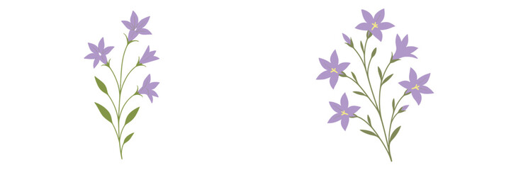 Obraz premium Purple bell flowers blooming in a natural setting during springtime