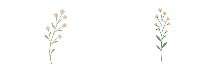 Delicate floral illustrations on a soft background, celebrating simplicity and natural beauty