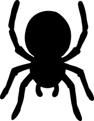 beautiful mini spider image 
