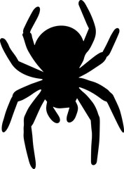 beautiful mini spider image 