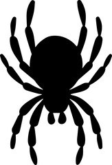 spider mini icon vector image 