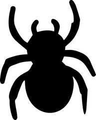 spider black and white 