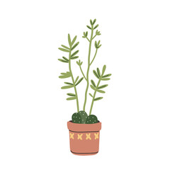 Decorative house plant succulent in brown pot, vector illustration in flat style on white background