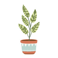 Decorative houseplant in a pot, vector illustration in a flat style on a white background
