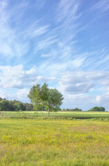 The rural landscape of western Poland.