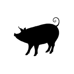Collection of silhouettes of farm animals -  pig, Animals side view. Illustration on transparent background 