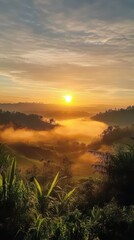 Obraz premium Sunrise over a misty valley with lush vegetation.
