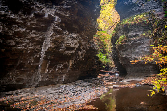 watkins glen state park gorge autumn