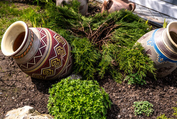 Fototapeta premium Painted clay jugs in a park on the ground on a summer day.