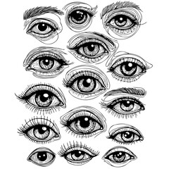 Obraz premium Set of female eyes. Hand drawn illustration isolated on white background. Collection of women's eyes. Different types of eyes, women's eyes. Different types of eyes. 