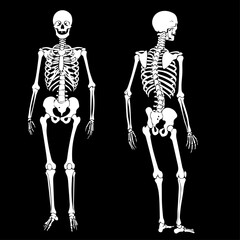 Spooky Halloween graveyard scene with bare trees and tombstones. Halloween illustration features dark silhouettes of spooky trees and old tombstones. This Halloween graveyard scene is perfect for part