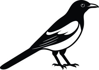 magpie bird silhouette vector illustration