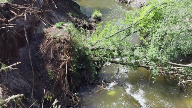 Riverbank erosion with a landslide: soil and rocks slide into water, exposing tree roots