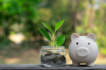 A piggy bank beside a jar filled with coins and a small plant, symbolizing savings and growth.