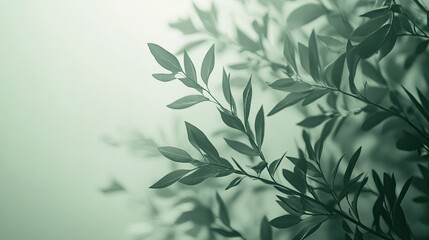 Soft Green Leaves with Blurred Background for Nature Aesthetics