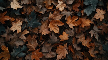 Colorful Autumn Leaves on Ground in Nature Setting with Textures