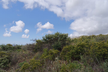 Natura © Steve Fossiant