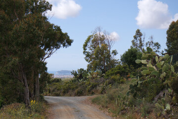 Natura © Steve Fossiant