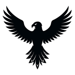 Obraz premium eagle with wings