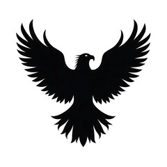 Obraz premium eagle with wings