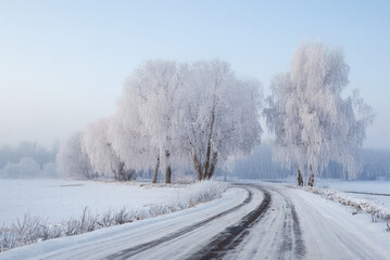 Obraz premium A snow-covered country road winds through a frosty forest under a pale blue winter sky, surrounded by ice-coated trees and fields.
