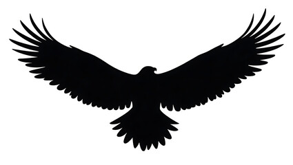 Obraz premium eagle on white background